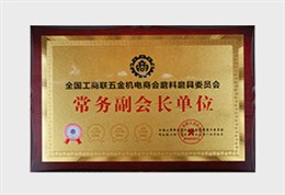 达蒙荣誉：常务副会长单位