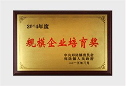 达蒙荣誉：规模企业培育奖