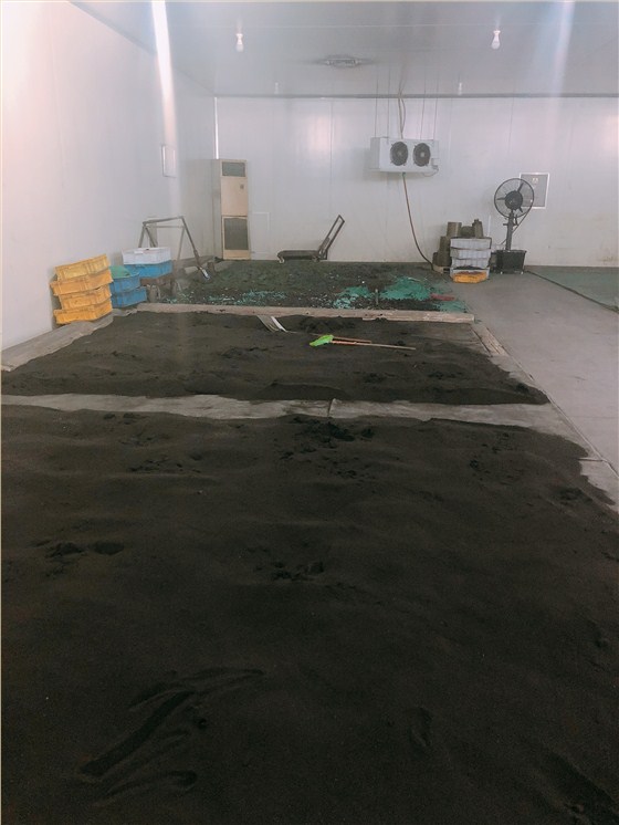 微信图片_20181116145847