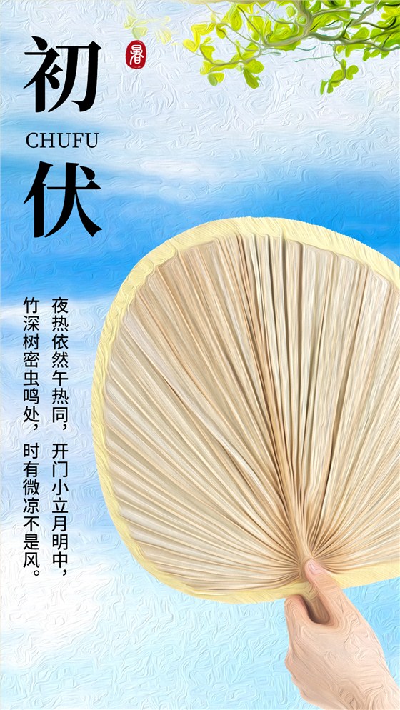 初伏节点问候祝福排版手机海报