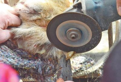 lji201501260924371690